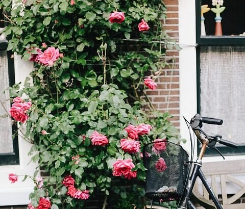 Portugal’s Natural Canvas: A Guide to the Most Instagrammable Locations